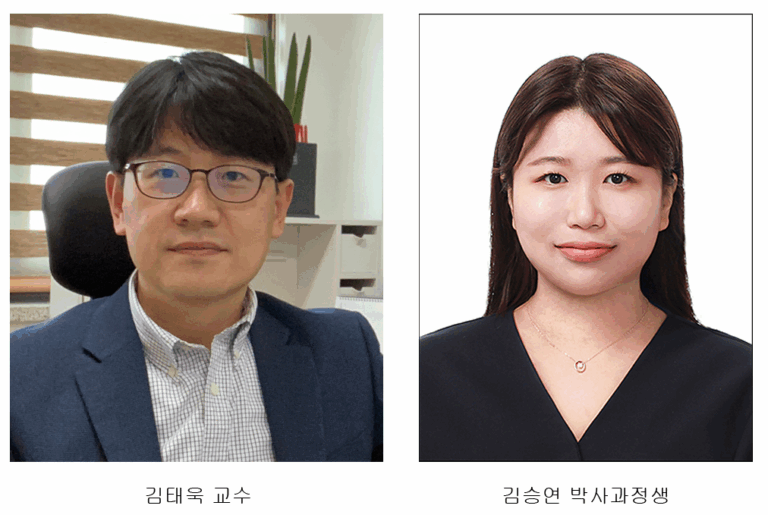 전북대 김태욱 교수팀, 초음파로 나노소재 정밀 코팅 혁신… 3D 기판에 단층 나노필름 구현