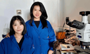 KAIST, 좌우회전 빛 구별하는 세계 최초 반도체 소재 개발