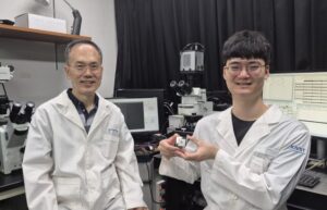 인공지능보다 정밀하게, 뇌를 모사하다 – KAIST, 6배 정밀한 3D 뇌 플랫폼 구현