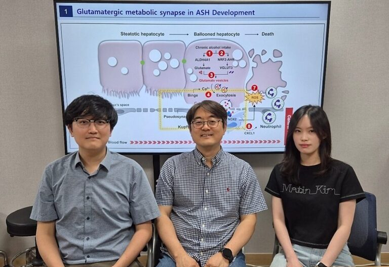 “술 마시면 간세포가 신호를 보낸다” – KAIST, 알코올 간염의 새로운 병리기전 최초 규명