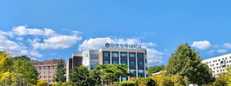 강릉영동대 종합감사 31건 처분 요구…사학 운영의 ‘공적 경계’가 무너졌다